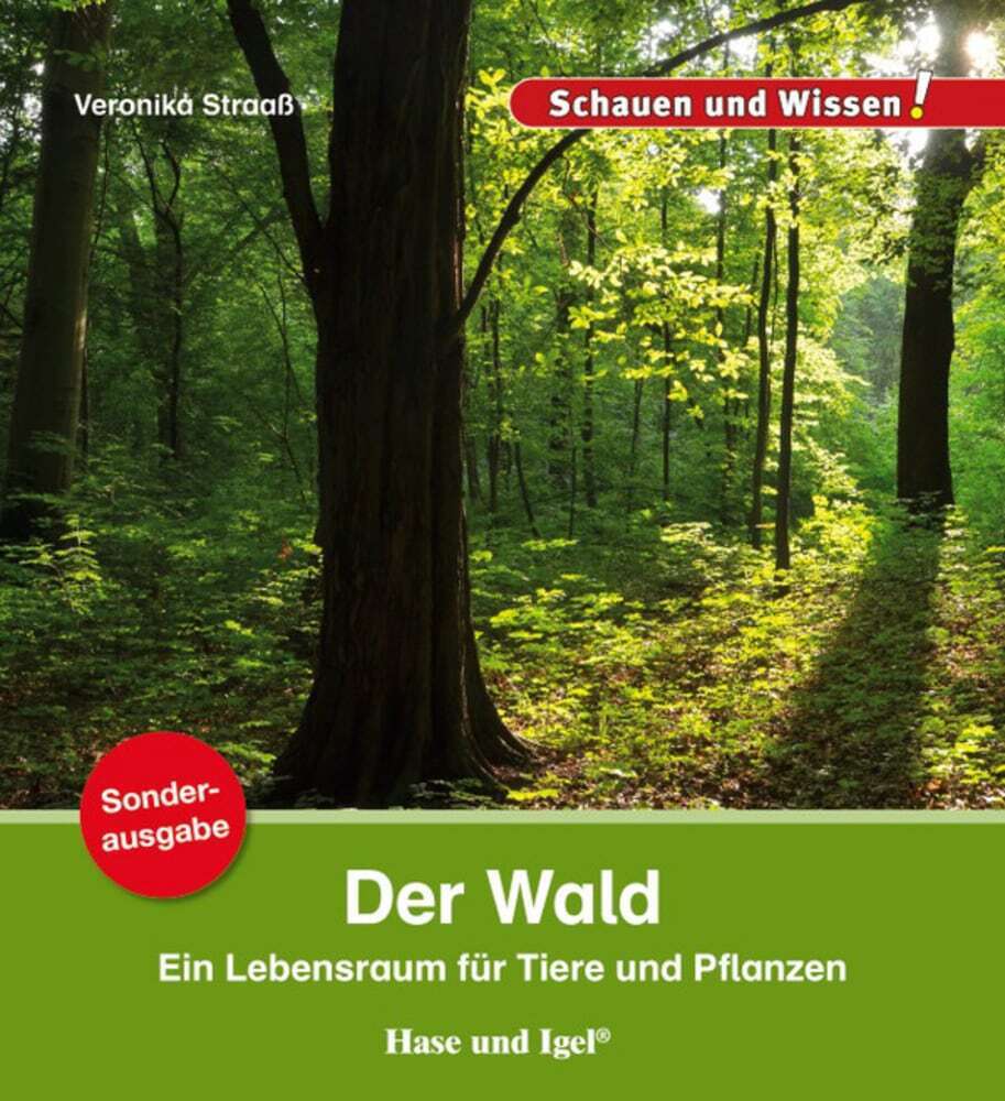 Der Wald (Veronika Straaß)