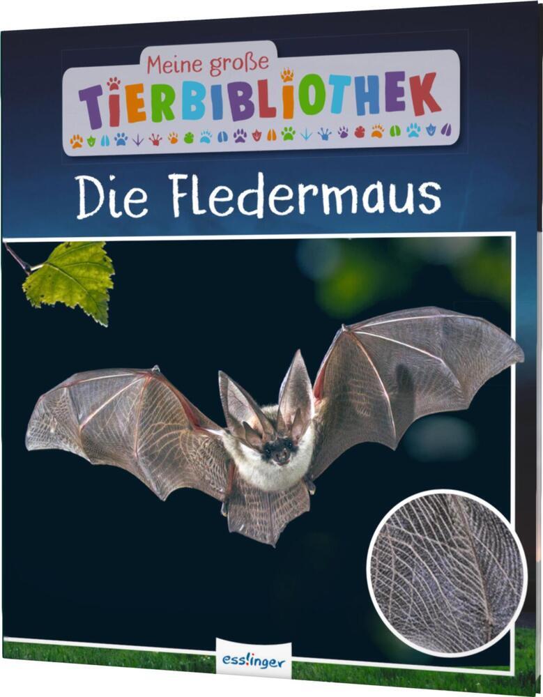 Meine große Tierbibliothek: Die Fledermaus (Jens Poschadel)