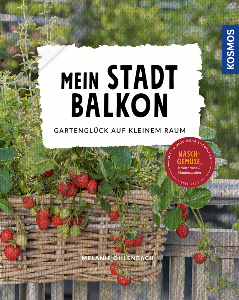 Mein Stadtbalkon (Melanie Öhlenbach)