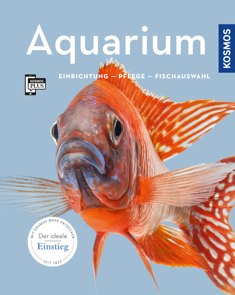 Aquarium (Angela Beck)