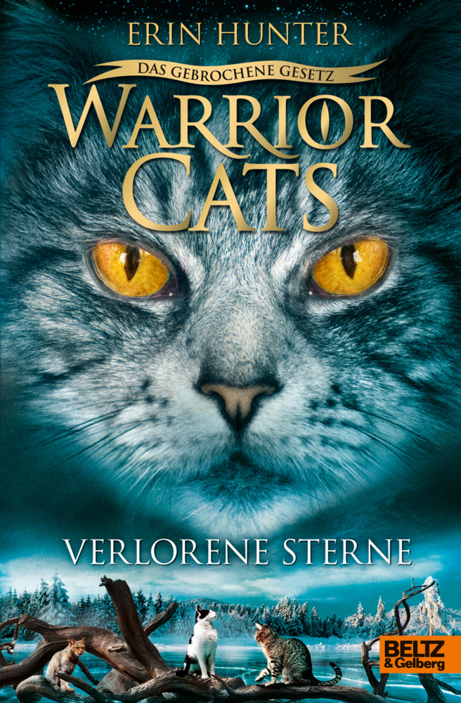 Warrior Cats - Das gebrochene Gesetz. Verlorene Sterne (Erin Hunter)