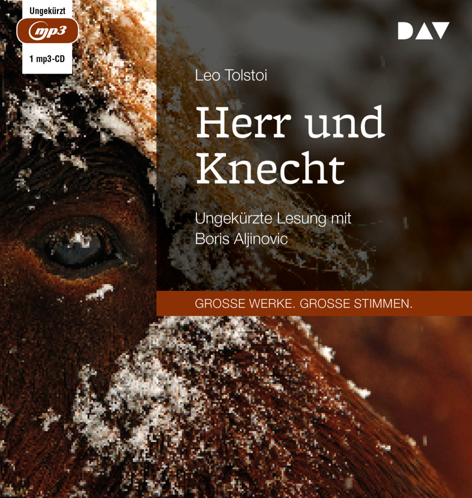 Herr und Knecht, 1 Audio-CD, 1 MP3 (Leo N. Tolstoi)