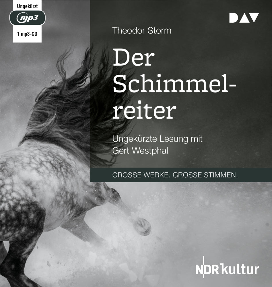 Der Schimmelreiter, 1 Audio-CD, 1 MP3 (Theodor Storm)