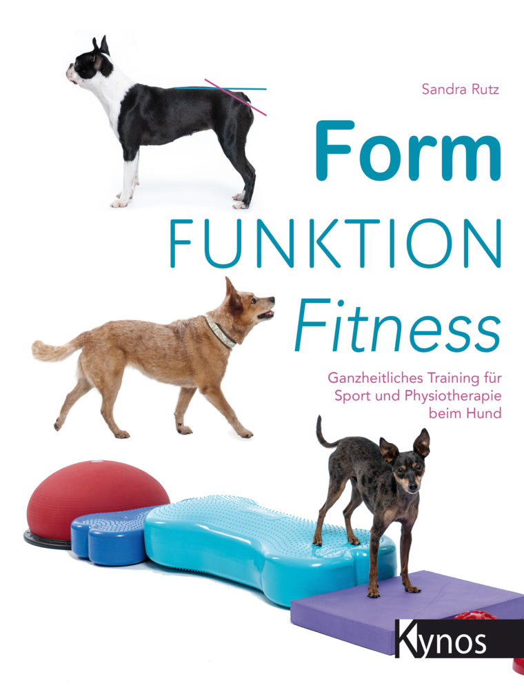Form Funktion Fitness (Sandra Rutz)