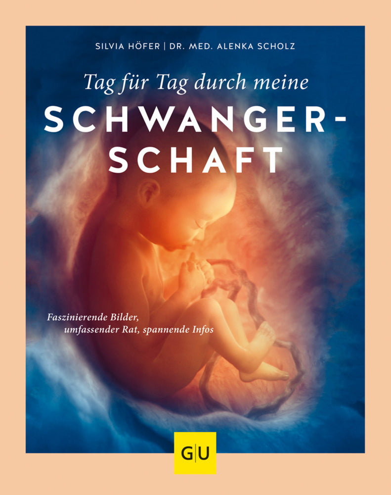 Tag für Tag durch meine Schwangerschaft (Alenka Scholz)