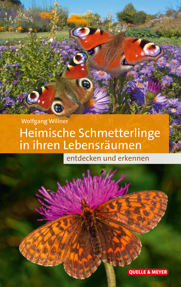Heimische Schmetterlinge in ihren Lebensräumen (Wolfgang Willner)