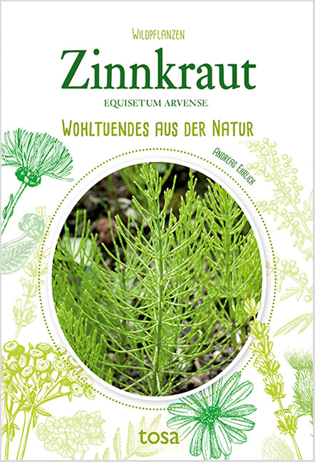Zinnkraut (Andreas Ehrlich)