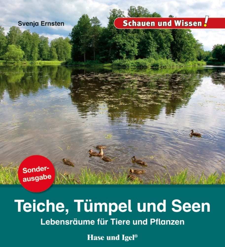 Teiche, Tümpel und Seen (Svenja Ernsten)