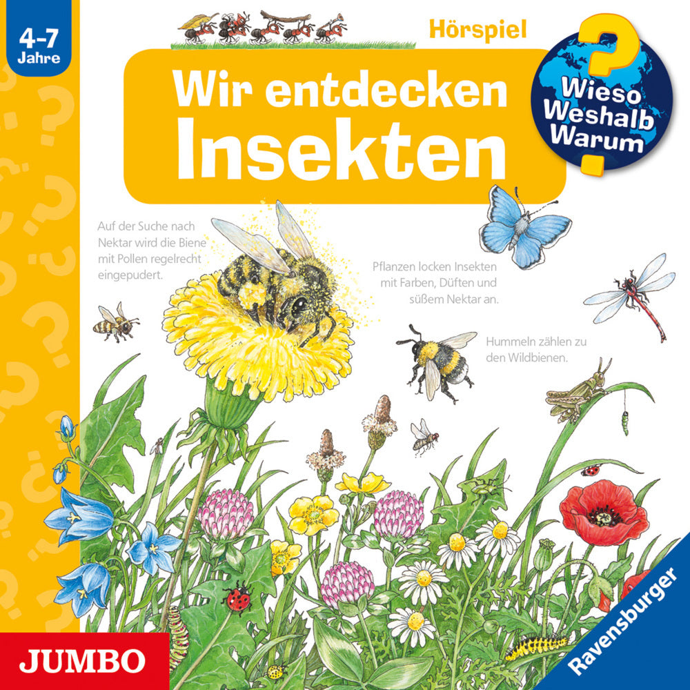 Wir entdecken Insekten, Audio-CD (Angela Weinhold)