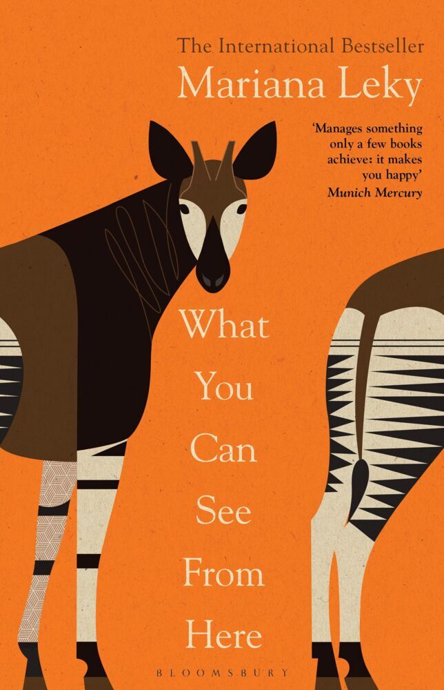 What You Can See From Here (Mariana Leky)