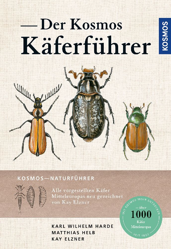 Der Kosmos Käferführer (Matthias Helb)