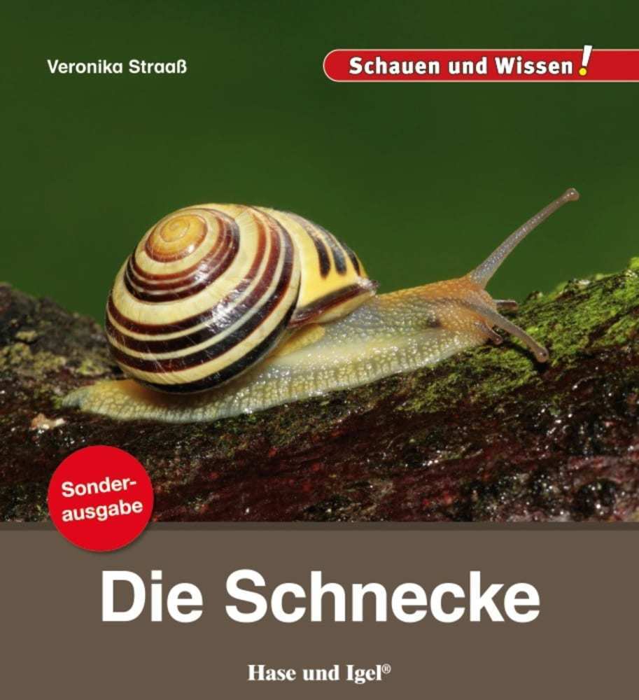 Die Schnecke (Veronika Straaß)