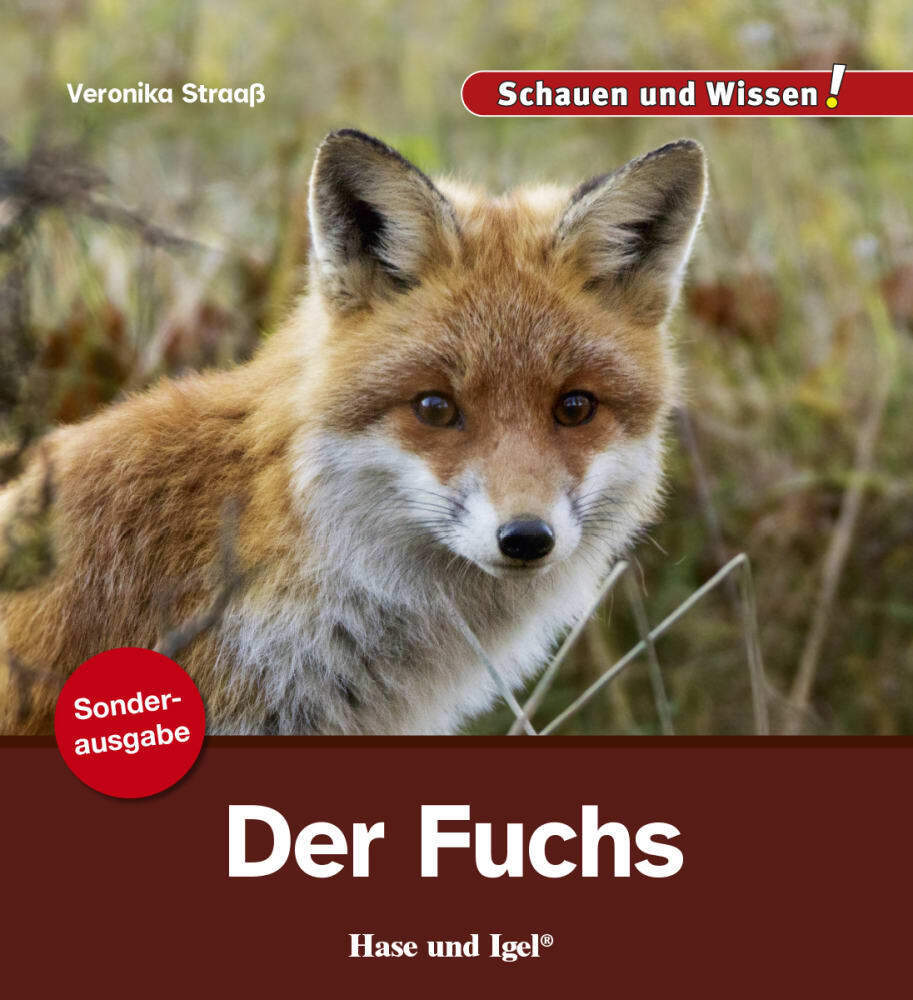 Der Fuchs (Veronika Straaß)