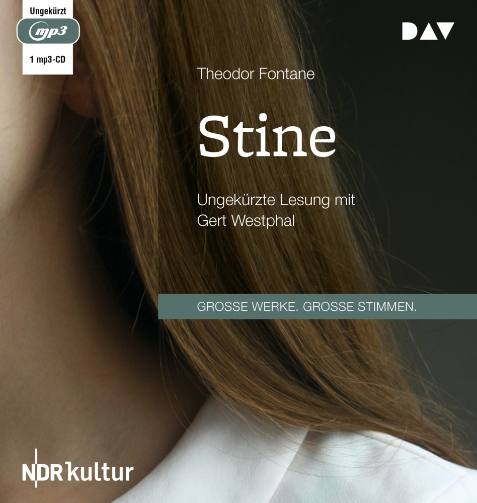 Stine, 1 Audio-CD, 1 MP3 (Theodor Fontane)