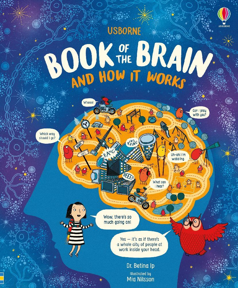 Usborne Book of the Brain and How it Works (Betina Ip)