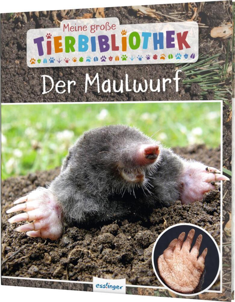 Meine große Tierbibliothek: Der Maulwurf (Jens Poschadel)