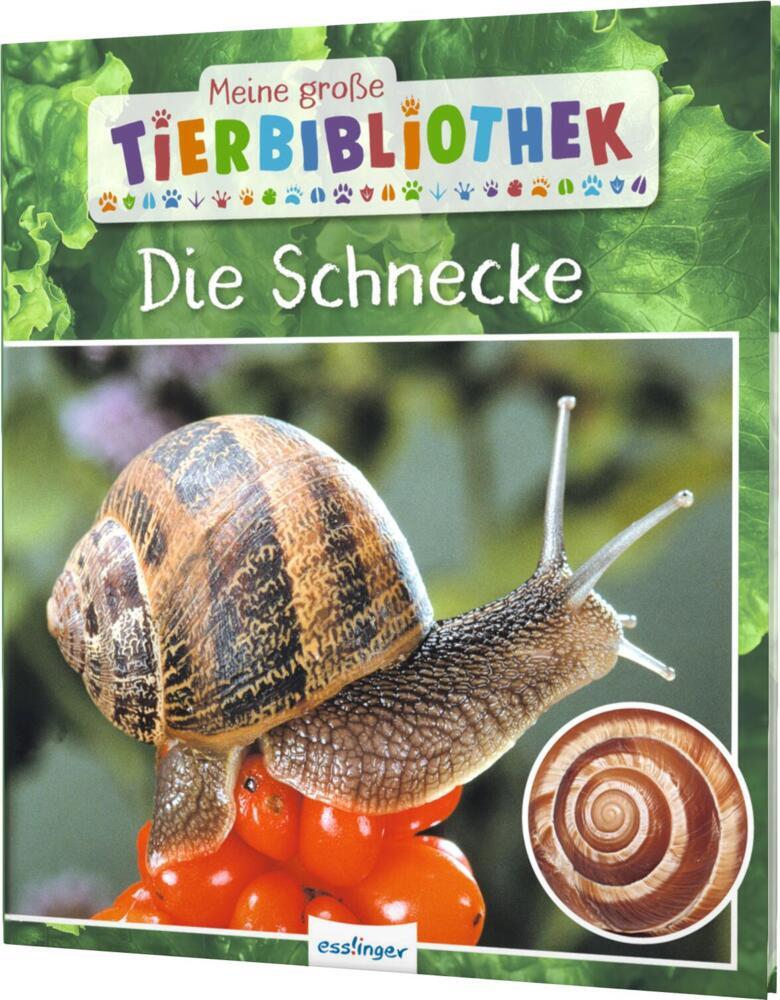 Meine große Tierbibliothek: Die Schnecke (Paul Starosta)
