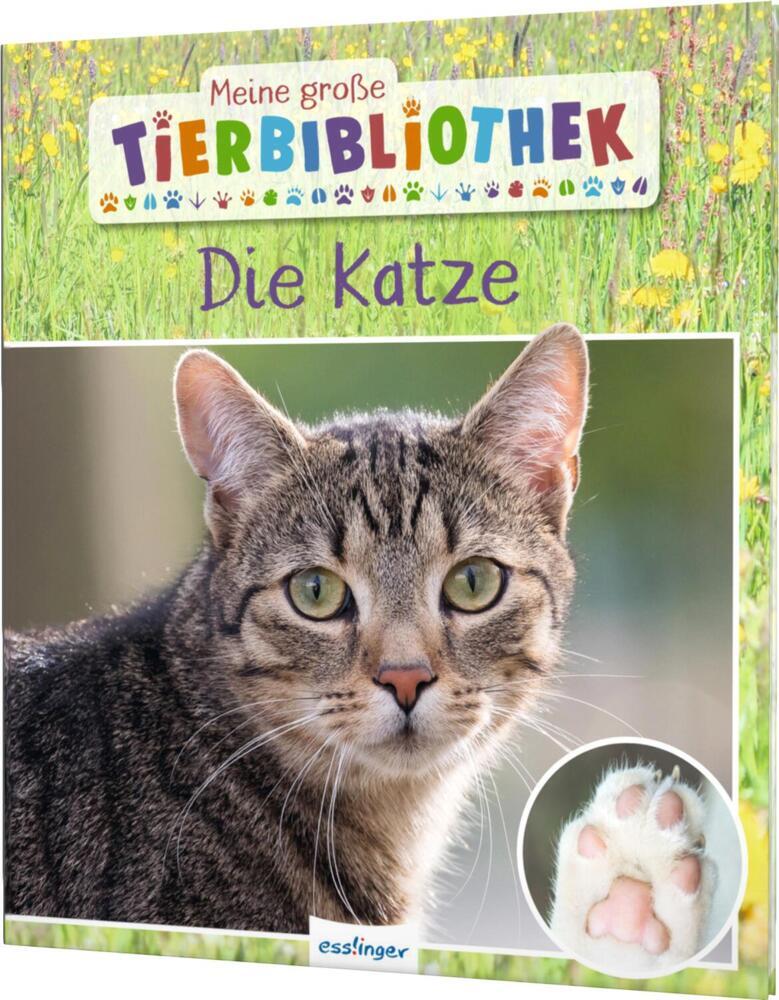 Meine große Tierbibliothek: Die Katze (Stéphanie Ledu-Frattini)