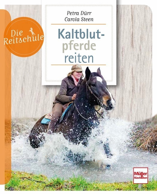 Kaltblutpferde reiten (Petra Dürr)