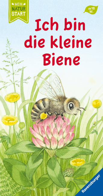 Ich bin die kleine Biene (Sandra Grimm)