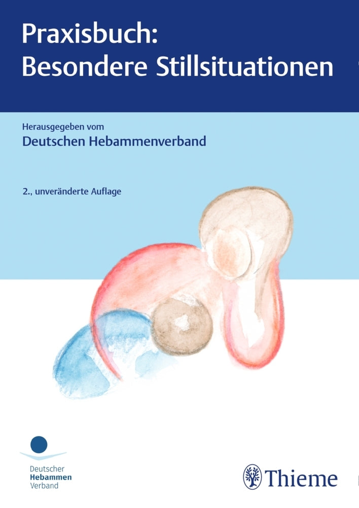 Praxisbuch: Besondere Stillsituationen (Deutscher Hebammenverband E.V.)