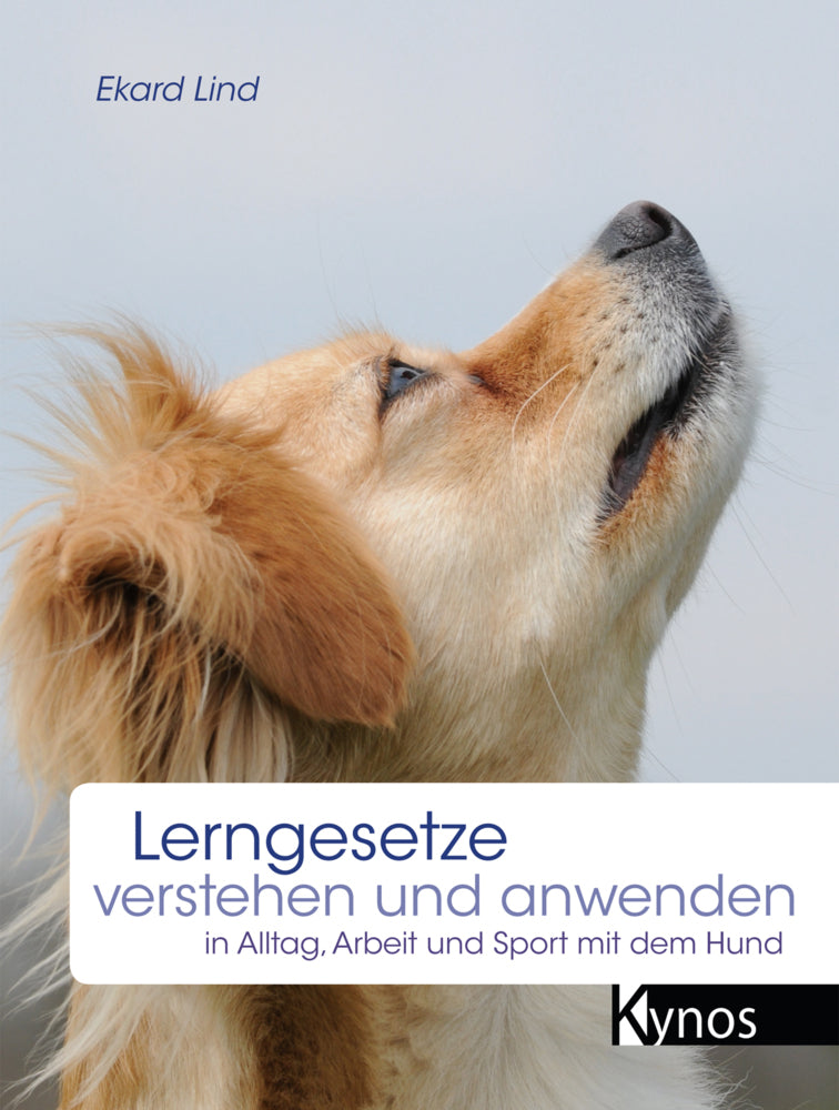 Lerngesetze verstehen und anwenden (Ekard Lind)