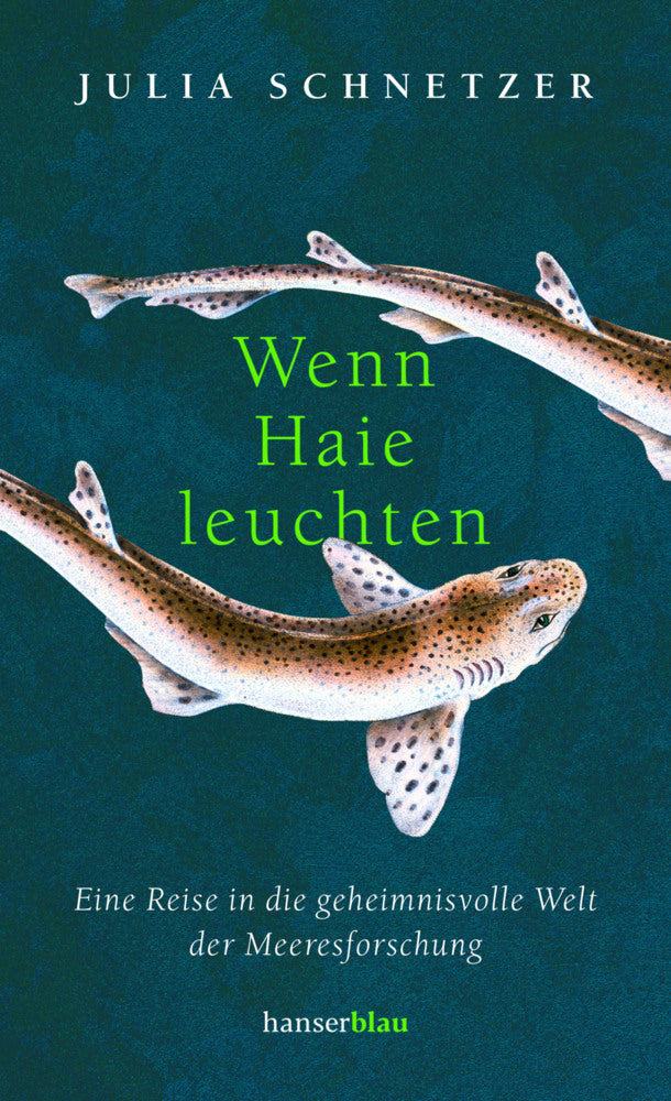 Wenn Haie leuchten (Julia Schnetzer)