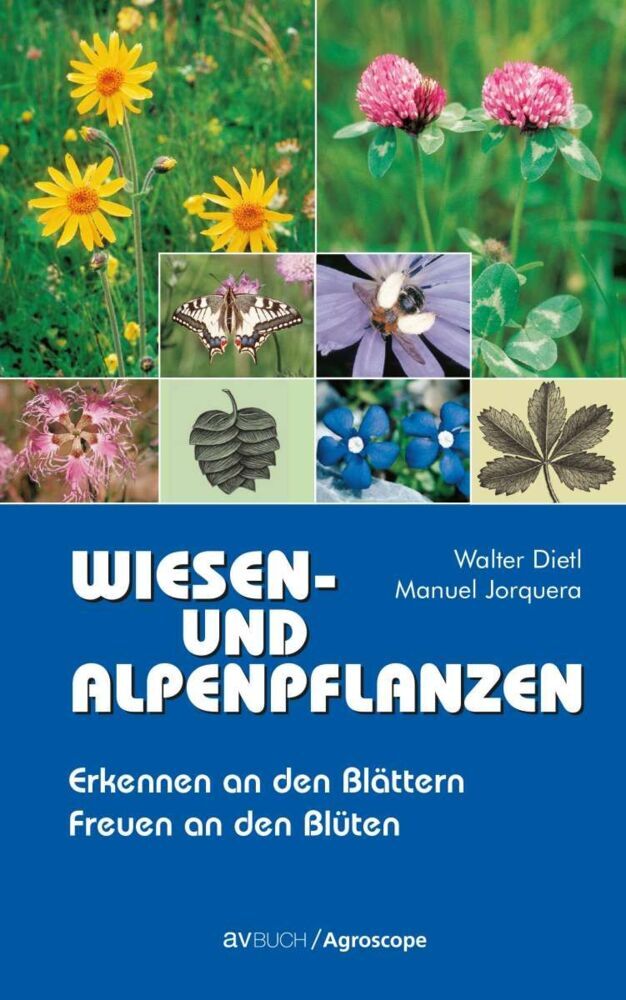 Wiesen- und Alpenpflanzen (Walter Dietl)