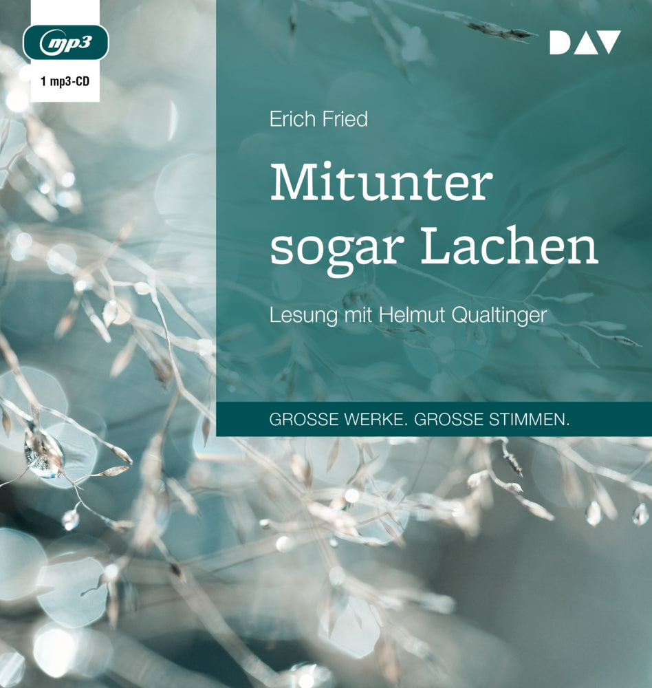 Mitunter sogar Lachen, 1 Audio-CD, 1 MP3 (Erich Fried)