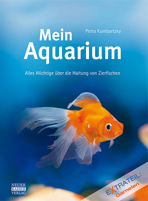 Mein Aquarium (Petra Kumbartzky)