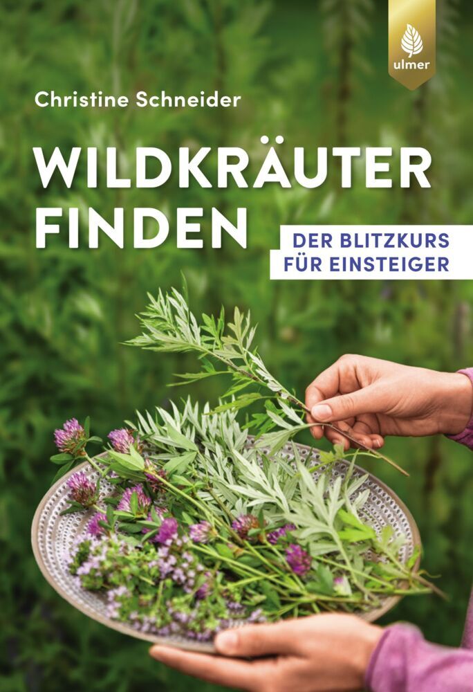 Wildkräuter finden (Christine Schneider)