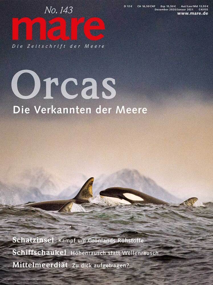 Orcas (Nikolaus Gelpke)