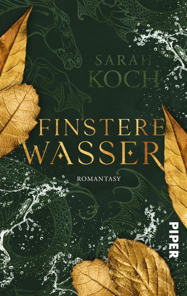 Finstere Wasser (Sarah Koch)