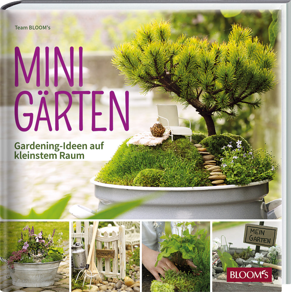 Minigärten (Team Bloom'S)