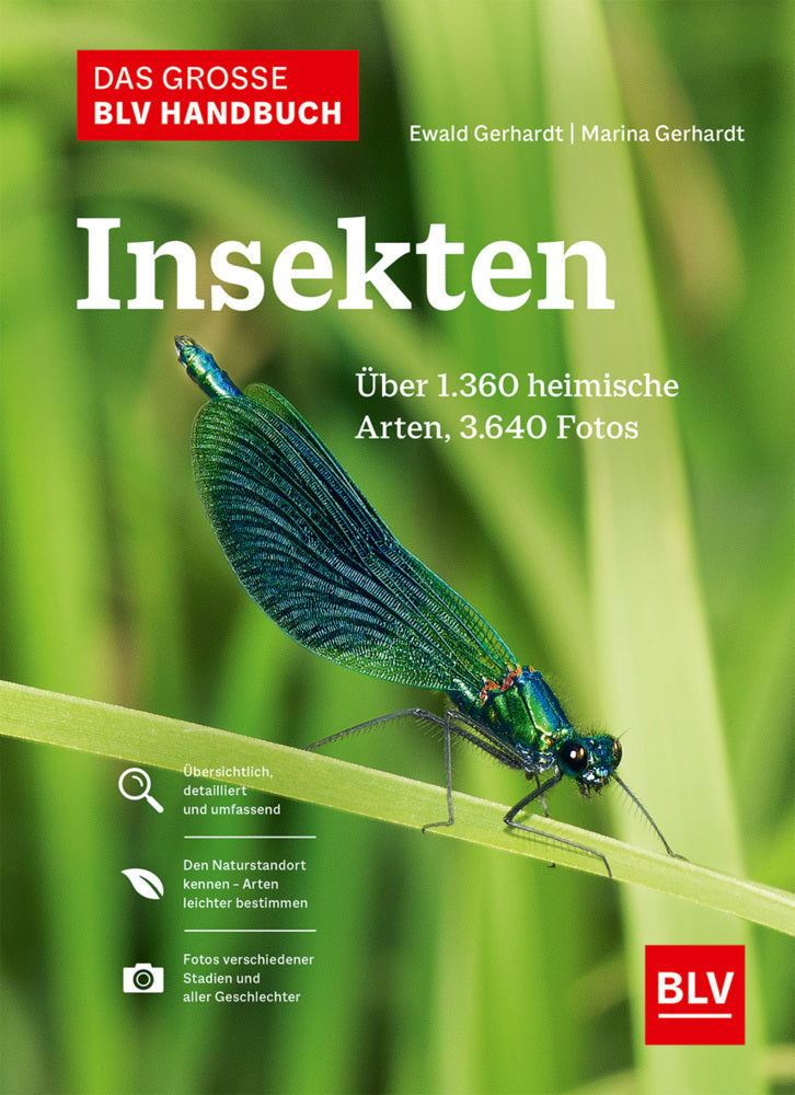 Das große BLV Handbuch Insekten (Ewald Gerhardt)
