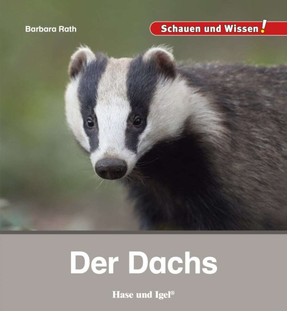 Der Dachs (Barbara Rath)