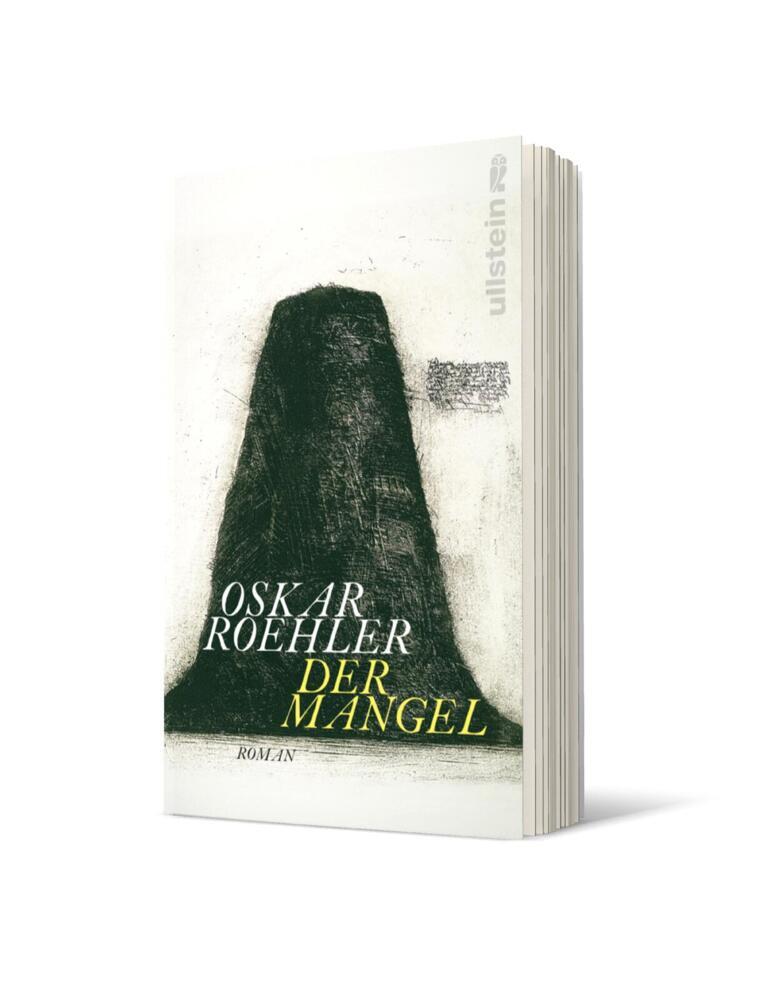 Der Mangel (Oskar Roehler)