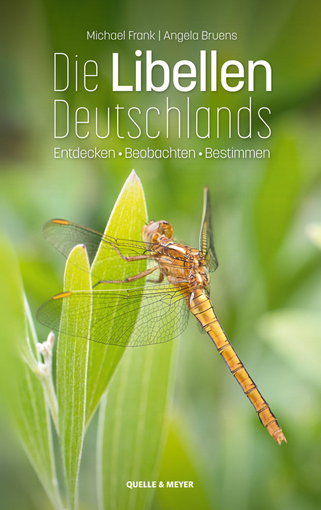 Die Libellen Deutschlands (Michael Frank)