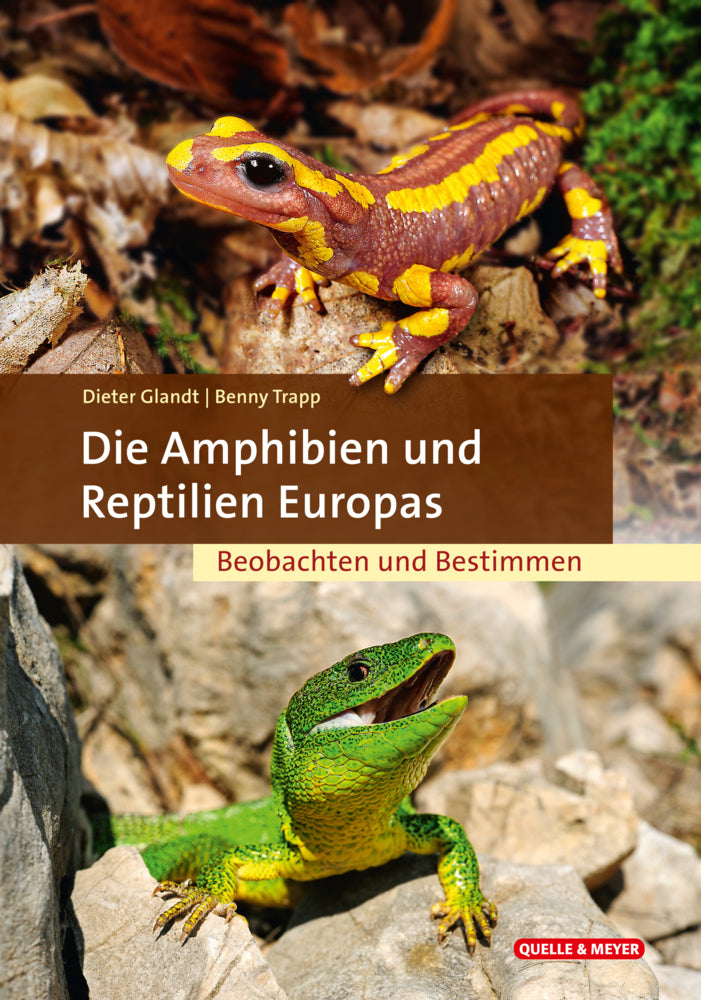 Die Amphibien und Reptilien Europas (Dieter Glandt)