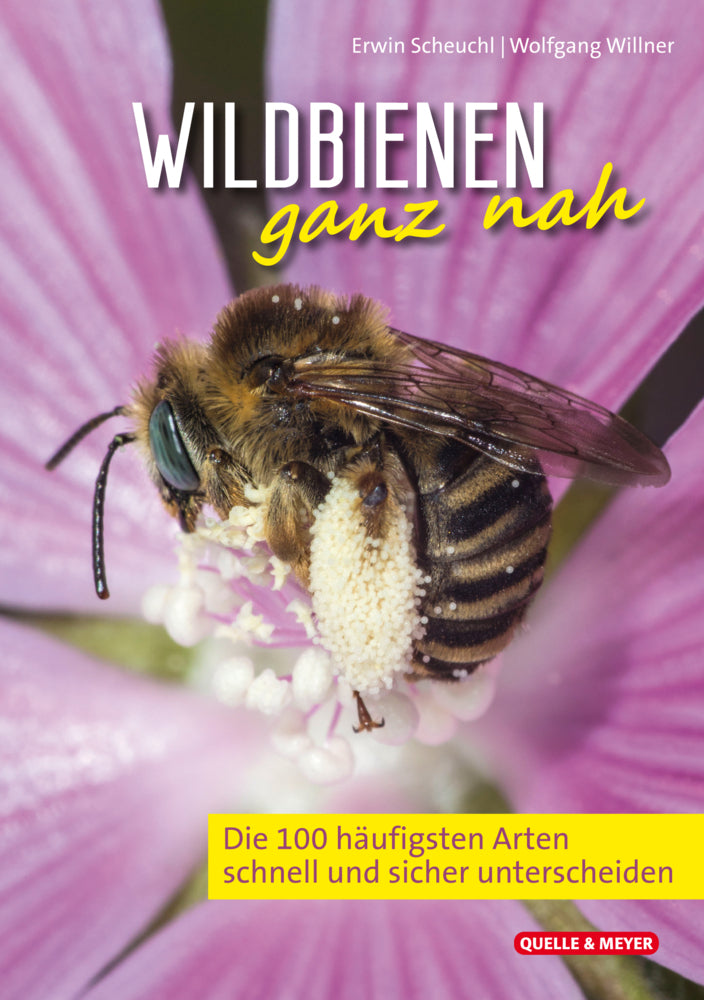 Wildbienen ganz nah (Erwin Scheuchl)