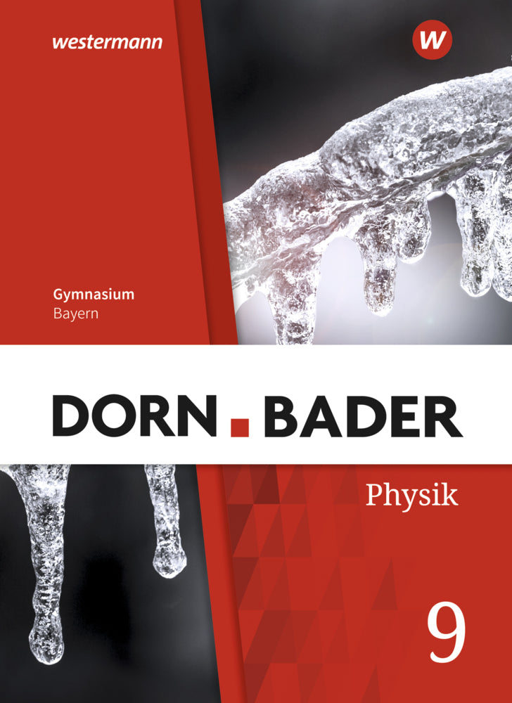 Dorn / Bader Physik SI - Ausgabe 2019 für Bayern (Christian Gleixner)