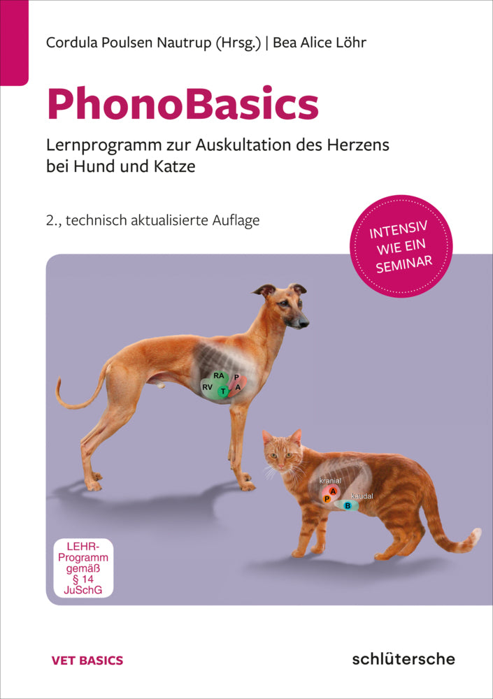 PhonoBasics, 1 DVD (Bea Löhr)