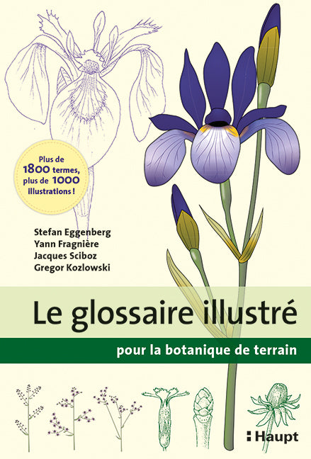 Le glossaire illustré pour la botanique de terrain (Stefan Eggenberg)