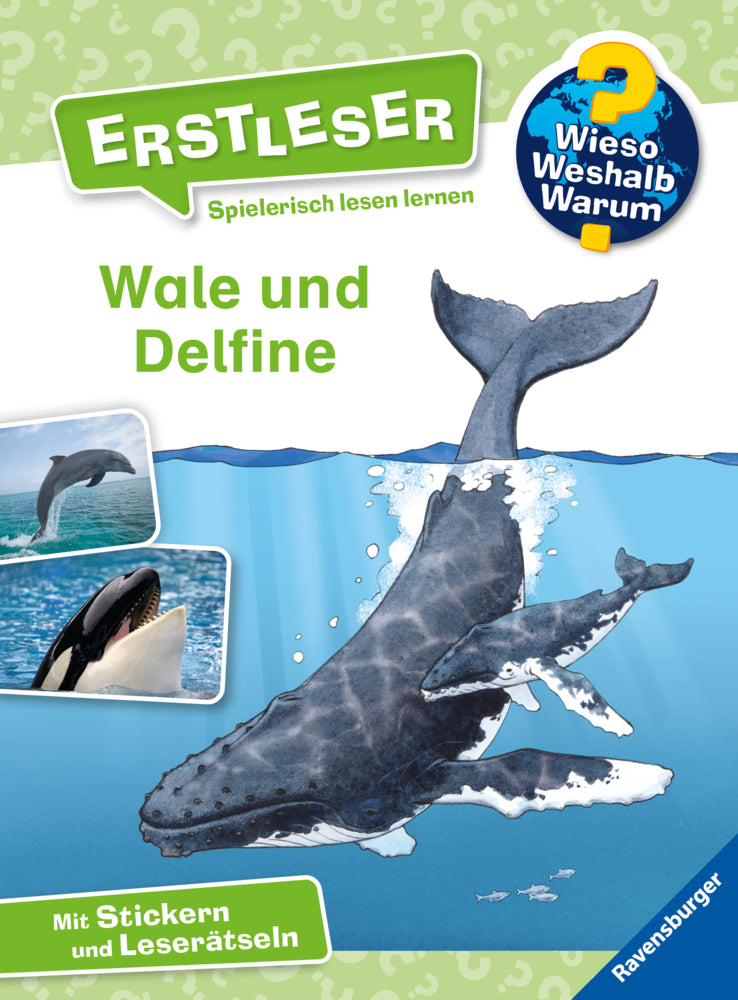 Wieso? Weshalb? Warum? Erstleser, Band 3 - Wale und Delfine (Sandra Noa)