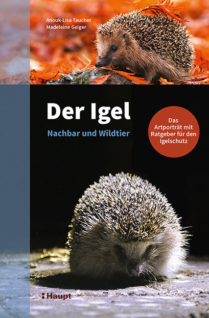 Der Igel - Nachbar und Wildtier (Anouk-Lisa Taucher)