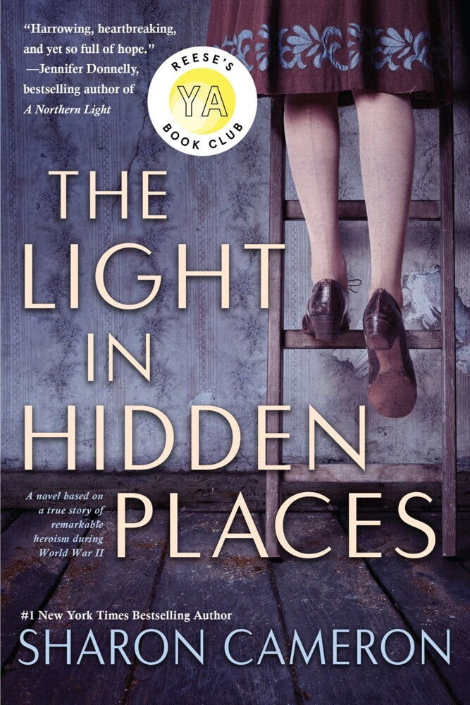 The Light in Hidden Places (Sharon Cameron)