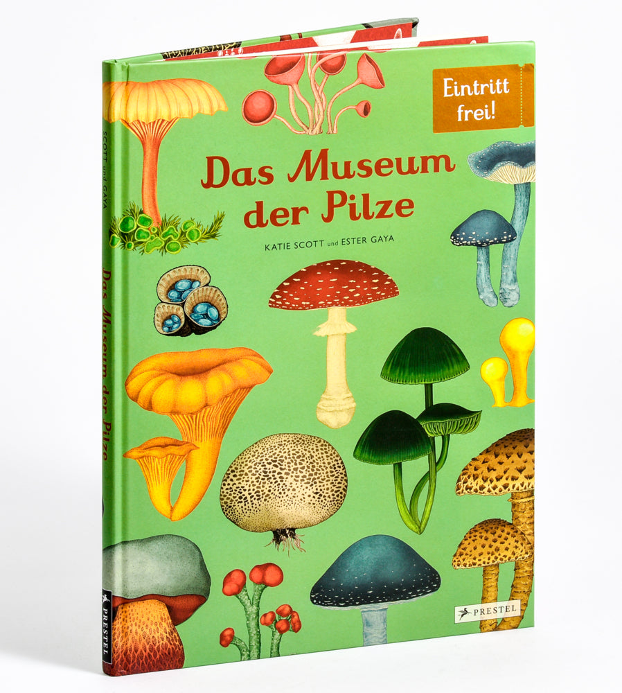 Das Museum der Pilze (Ester Gaya)