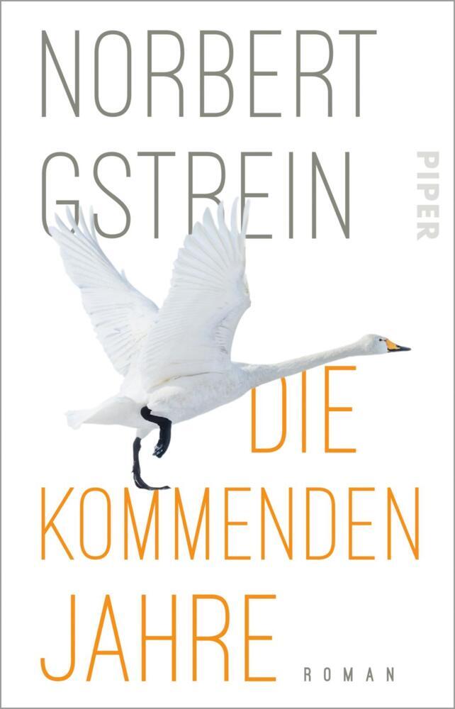 Die kommenden Jahre (Norbert Gstrein)
