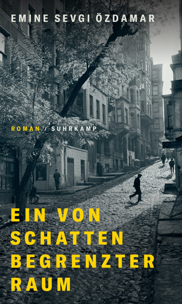 Ein von Schatten begrenzter Raum (Emine Sevgi Özdamar)