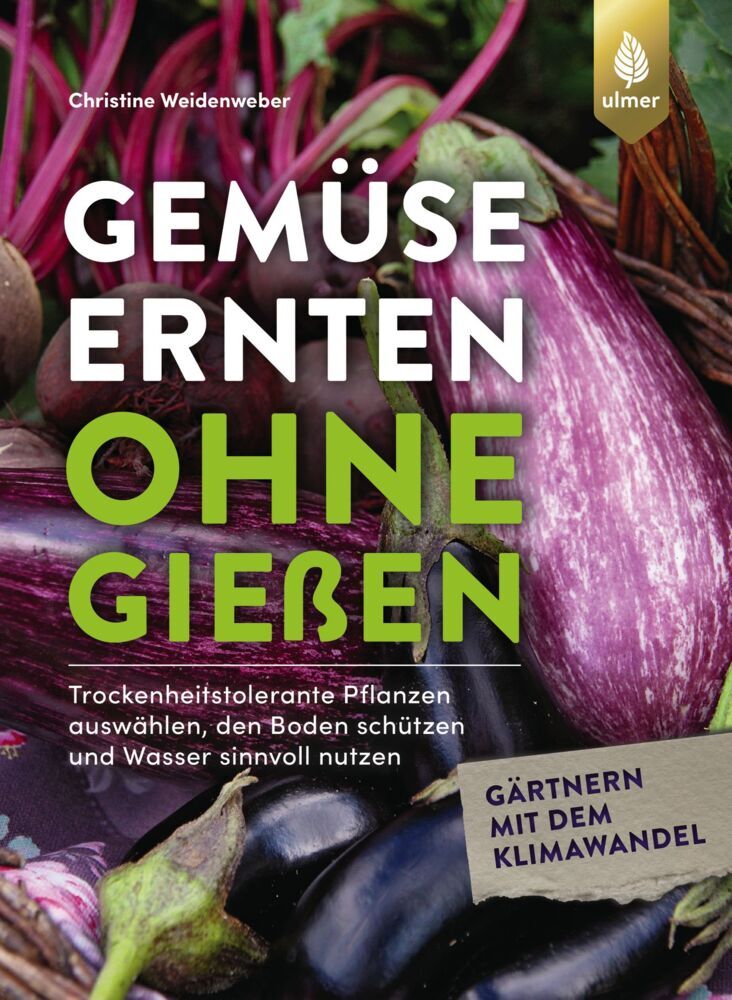 Gemüse ernten ohne gießen (Christine Weidenweber)